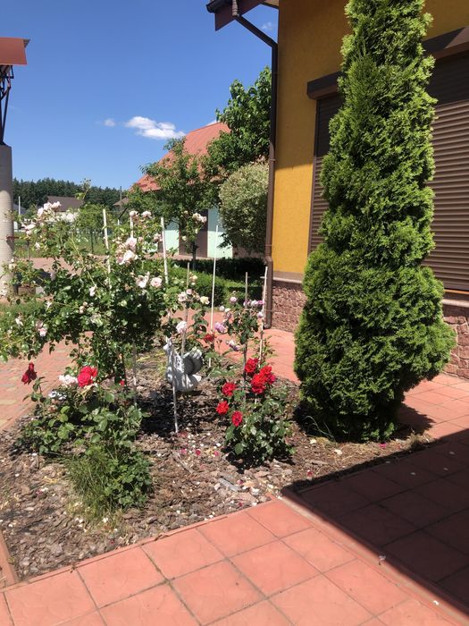 Продається будинок