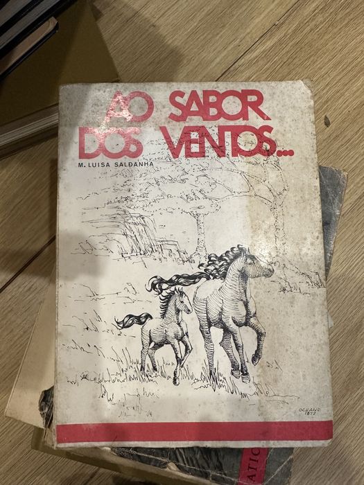 Book by M. Luísa Saldanha – At the Mercy of the Winds.