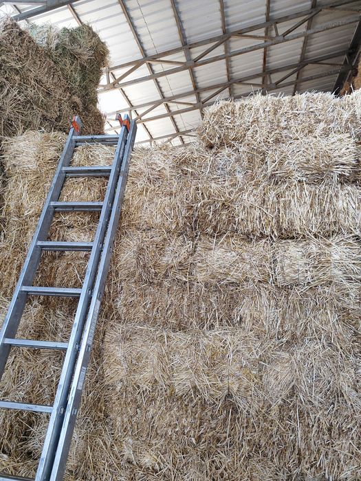 Продам сено! Затюкованое