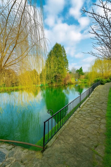 Будинок за адресою (площа 249 м²) - Atlanta.ua - фото 5