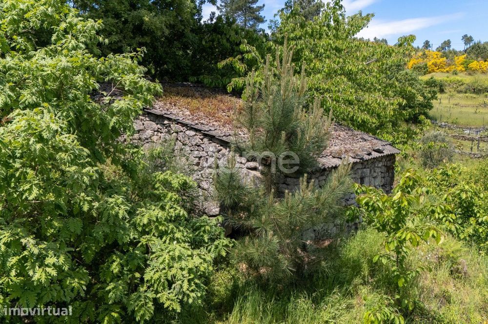 Terreno de 4437m2 com ruína, Santa Marta de Penaguião, Douro