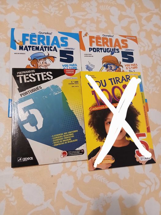 Cadernos de fichas de apoio 5.ano