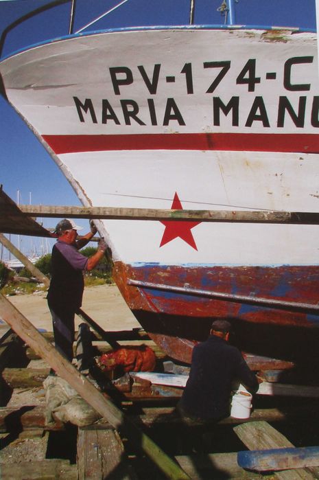 Dezasseis Olhares Sobre a Póvoa de Varzim - - - - - Livro