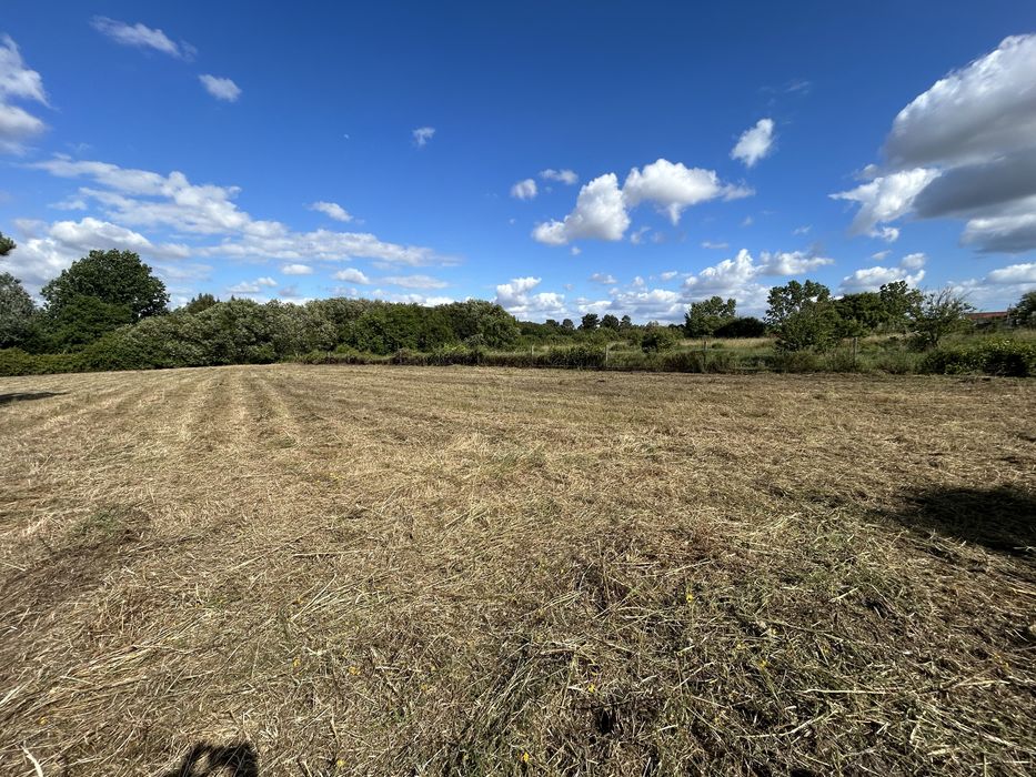 Limpeza de terrenos e serviços agrícolas e florestais .