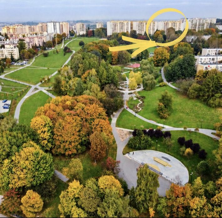 Zdjęcie 6