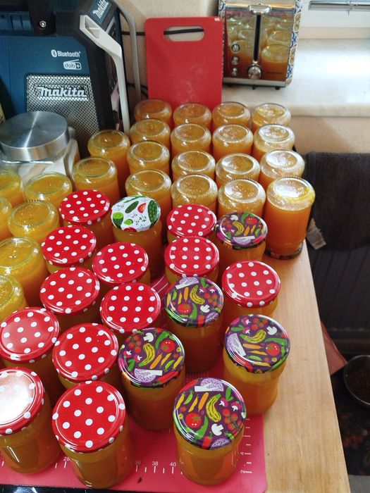 Dżem z mirabelki 10 szt po 315ml