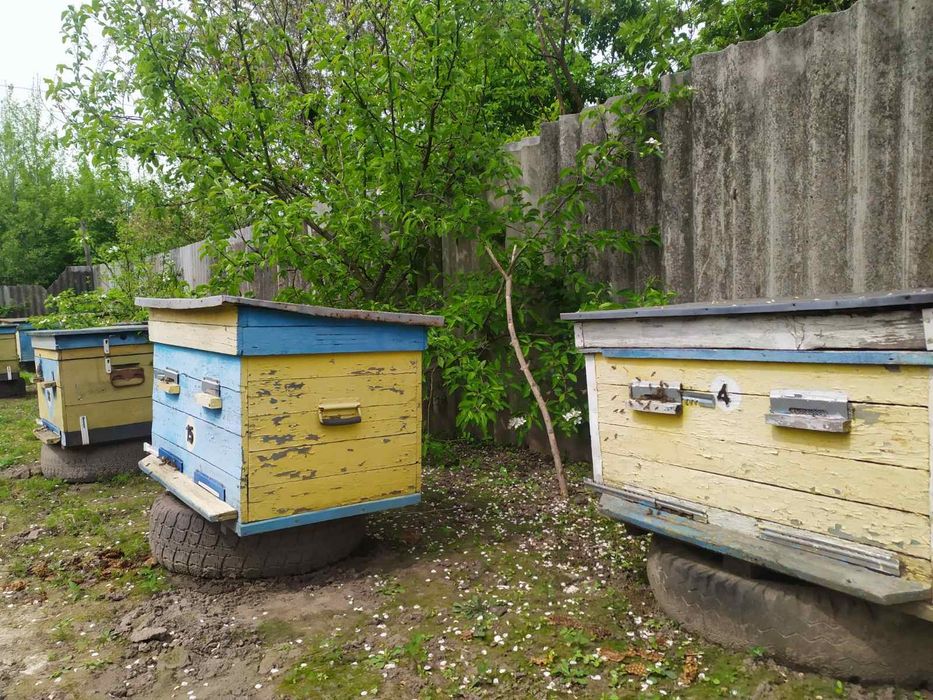 Продам вулики на 20 рамок