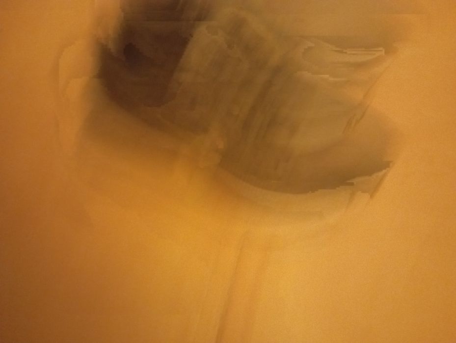 Tênis Nike Revolution