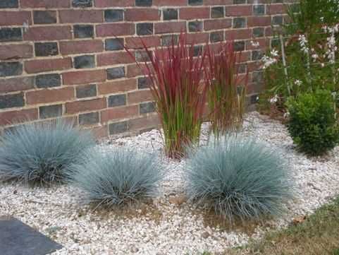 Zestaw traw ozdobnych