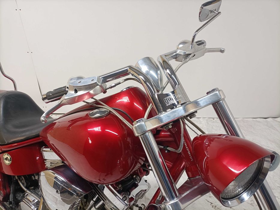 Big Dog Mastiff Harley