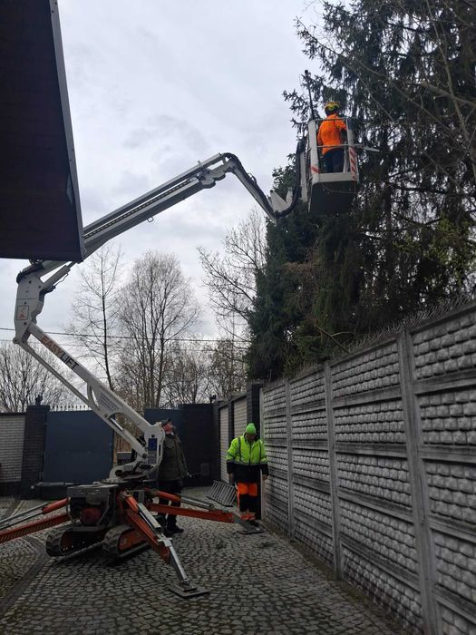 Przycinanie , Usuwanie , Pielęgnacja DRZEW i krzewów
