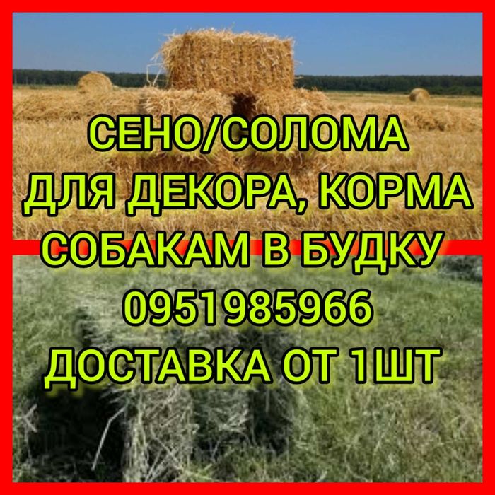 СЕНО  в тюках мешках, сіно разнотравье с доставкой от 1 штуки.