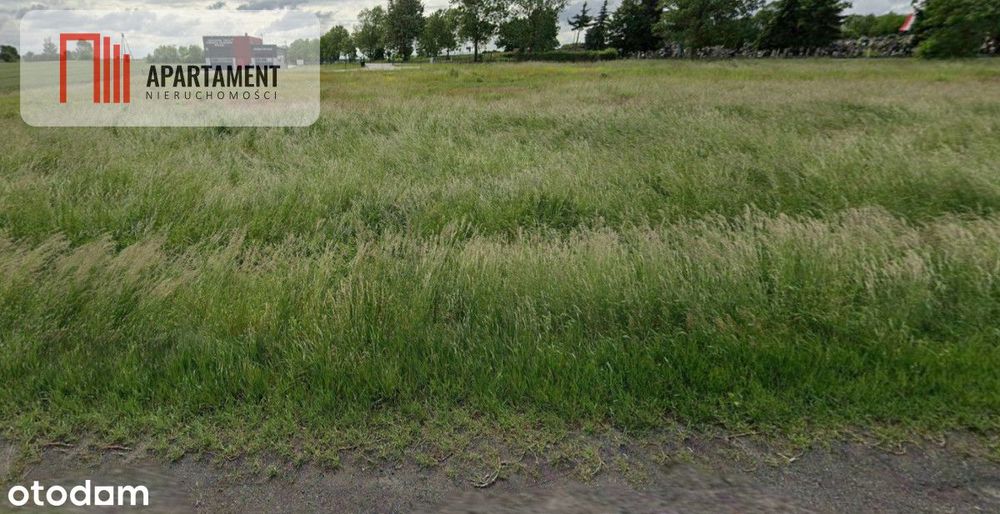 Działka inwestycyjna przy Dk36 - Widok 5