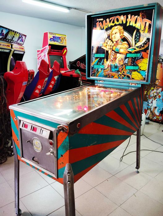 Fliper Pinball - Amazon Hunt