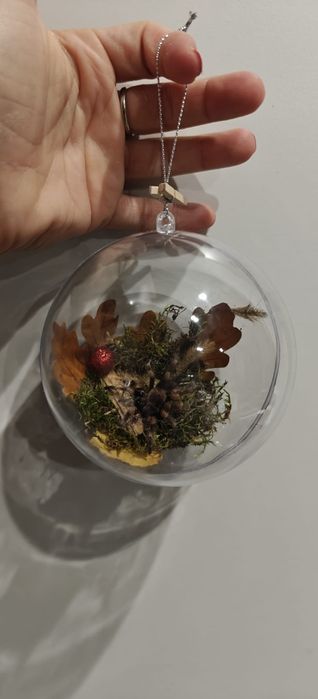 Bombka martwa natura pająk ptasznik brachypelma