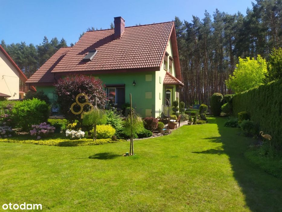 Dom wolnostojący z pięknym ogrodem, Wilków