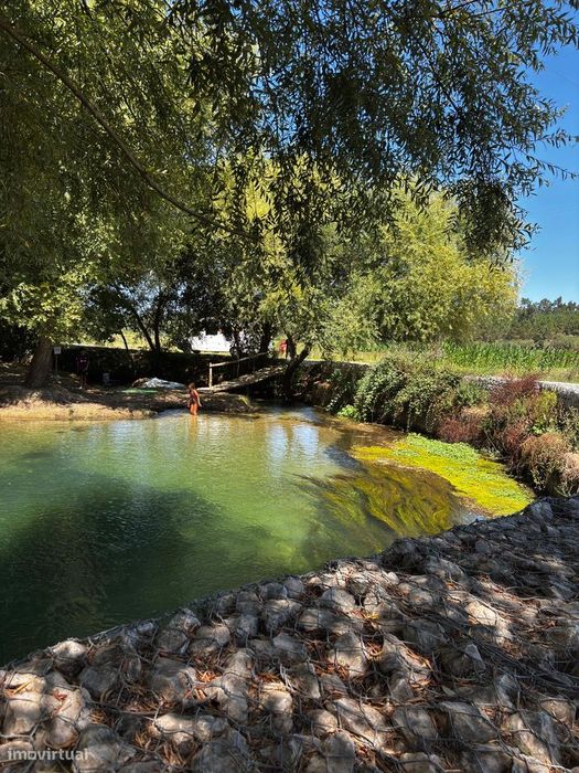 Quinta com 5.350 m2 de Terreno a 20 min de Coimbra