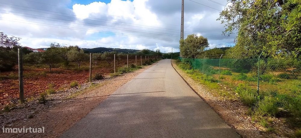 Terreno Rústico  Venda em Conceição e Estoi,Faro
