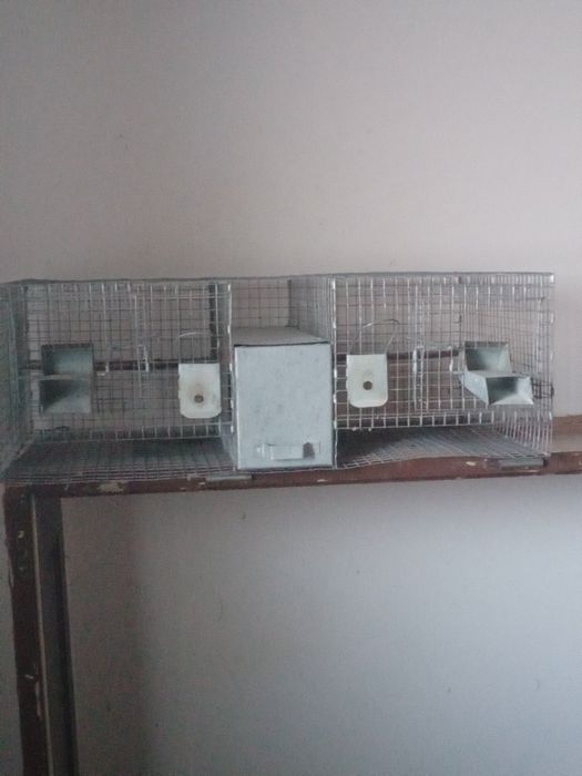 Клітки для розведення шиншил