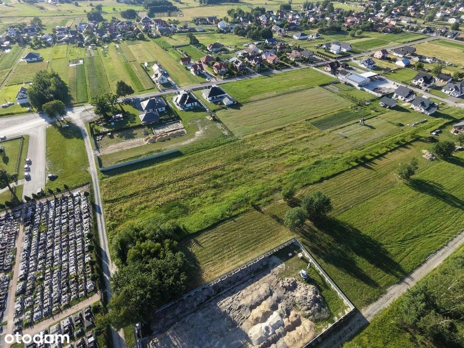 Działka 31 arów + Warunki Zabudowy - Trzeboś - Widok 4