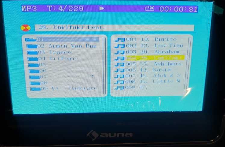Караоке-система  активная колонка AUNA  DiscoFever