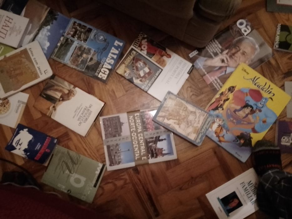 Grandes Saldos Saramago/outros raros/BD juvenil e muitos mais Desde 2E