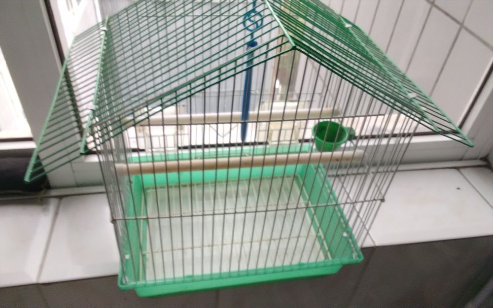 Gaiola usada mas estimada