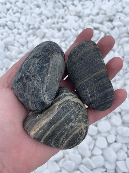 Czarny Kamień w Paski Polerowany, Otoczak Żwir Dekoracyjny do Doniczek