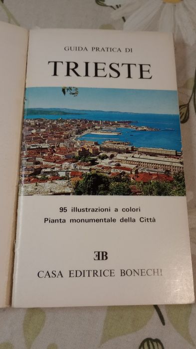 Trieste. Nuova Guida Pratica di 95 illustrazioni..
