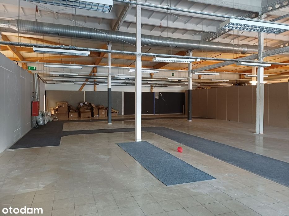 Lokal handlowo-użytkowy 350m2 Wrocław ul.Brucknera