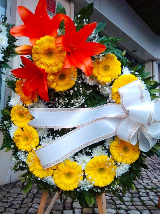 Terra Viva - Florista | Plantas Ornamentais | Frutas | Sementes