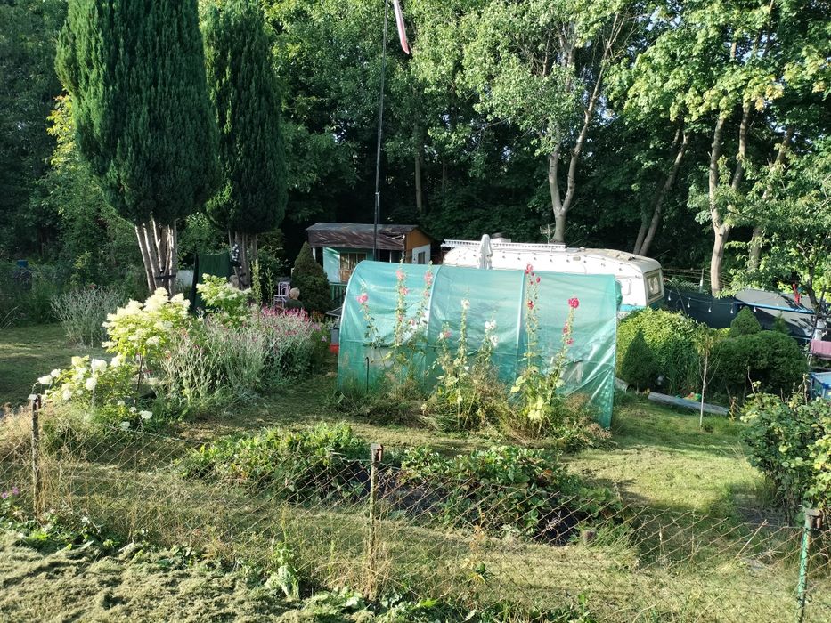 Działka ROD w Straszynie