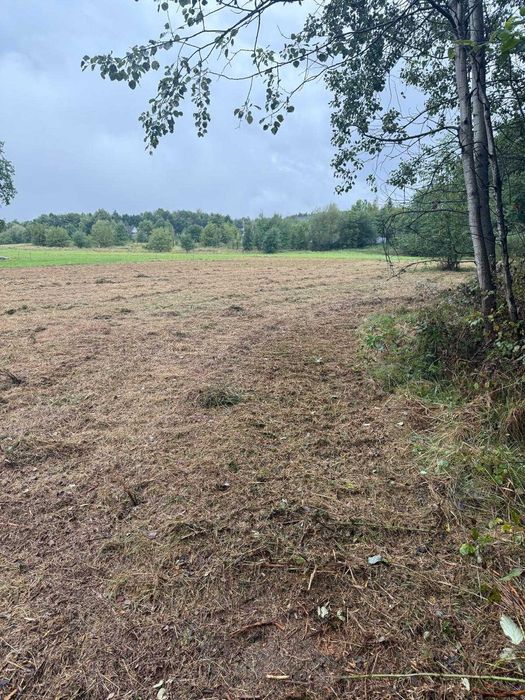 Do sprzedaży 3 atrakcyjne działki położone w Limanowej , obręb Lipowe.