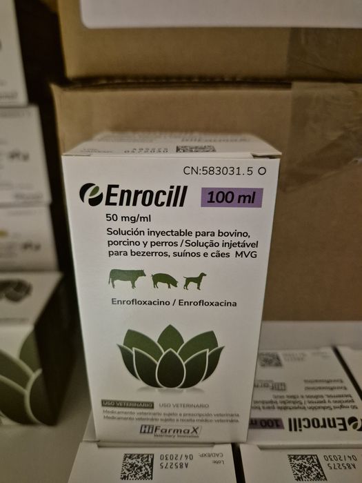 Enrocill 50mg 100 ml