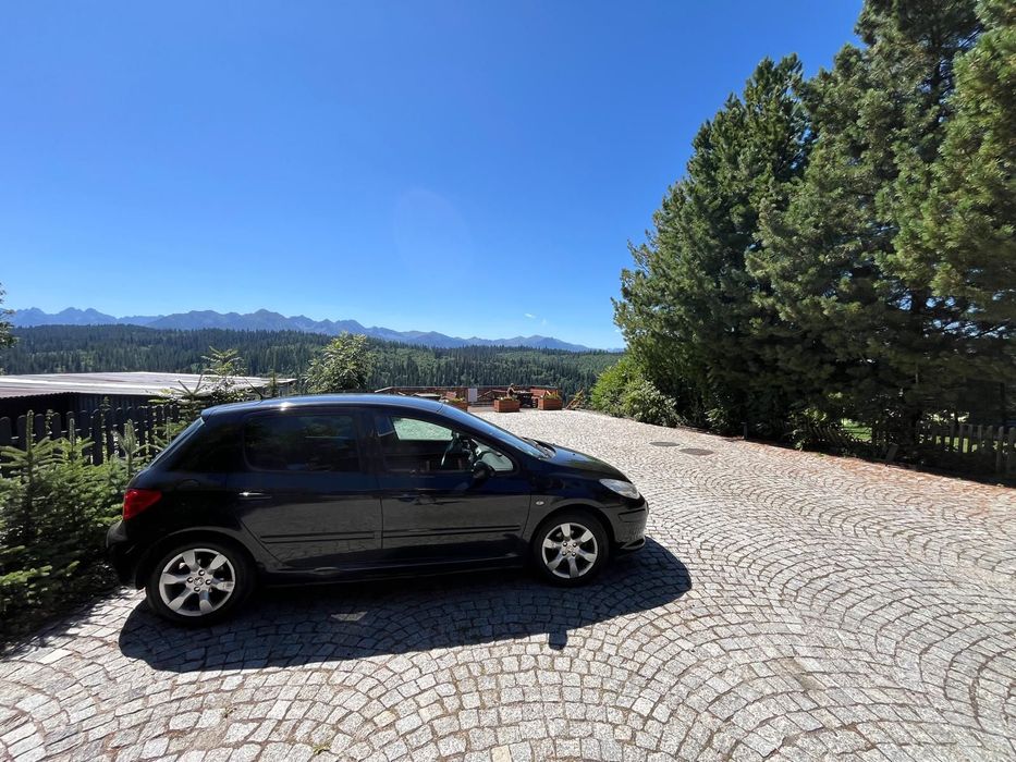 Peugeot 307
