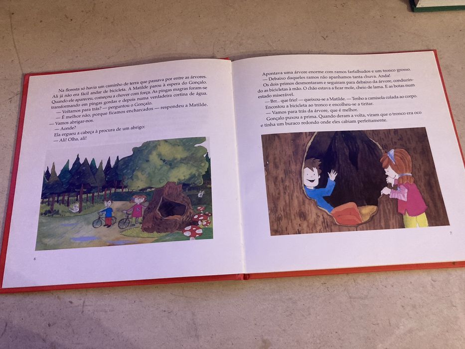 Livro para crianças  Os primos e a fada atarantada
