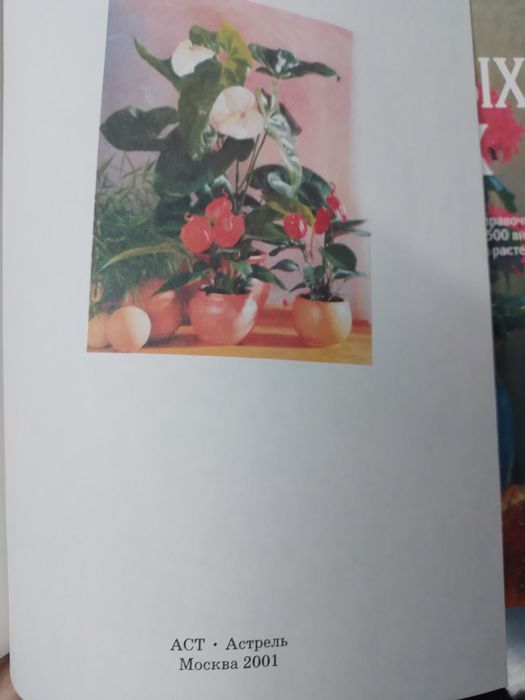 Продам книгу "Все о кімнатних растениях"