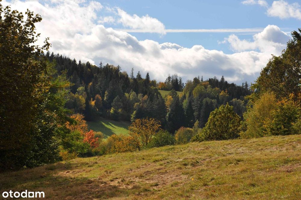 Dolnośląskie, panorama na Sudety, Gruszków