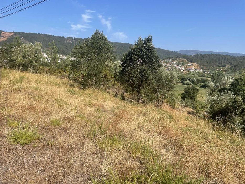 LOTE DE TERRENO - Flor da Rosa - Almalaguês - Coimbra