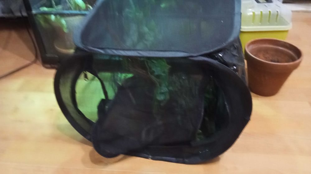 Terrarium szklane 90x60x45