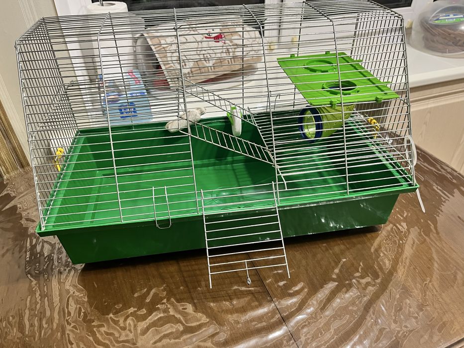 Клітка для хомяка.