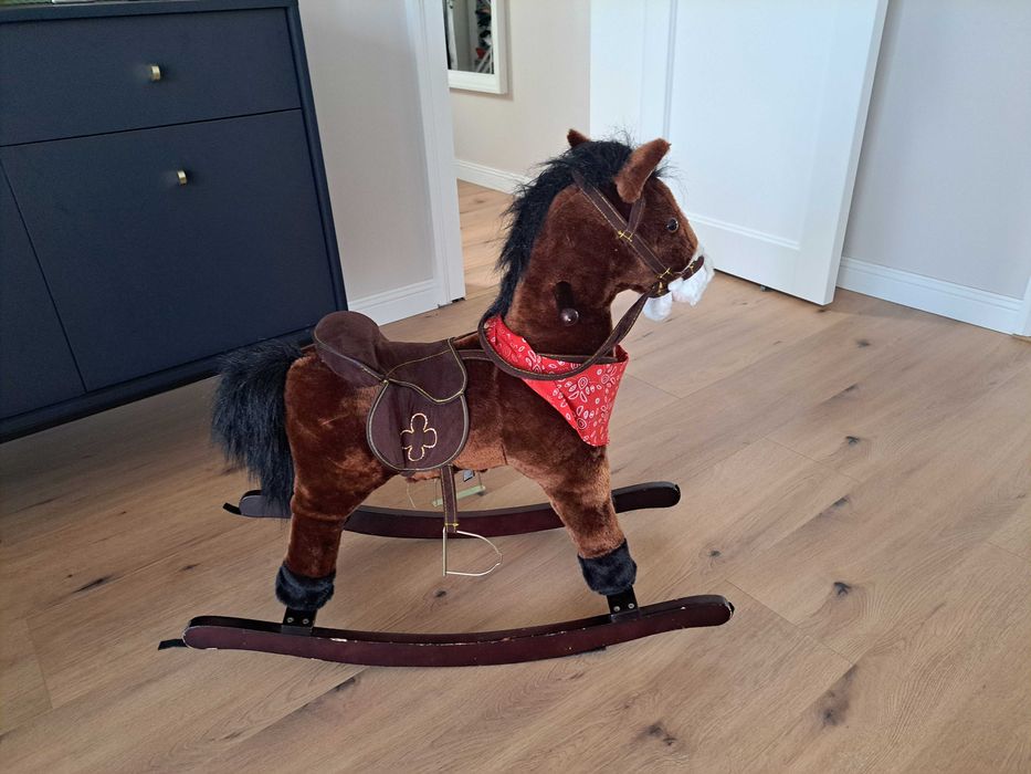 Konik na biegunach