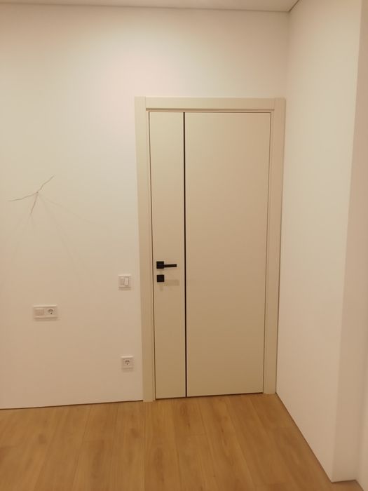 Ремонт демонтаж і монтаж дверей,столярні роботи