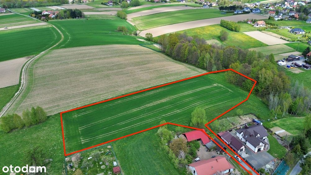 Działka inwestycyjna | 105 arów | Babica gm. Wadowice | RZ + las - Widok 3