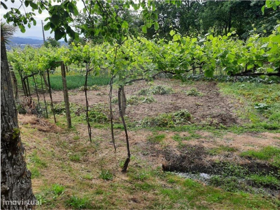 Terreno  para venda — Termas De São Vicente, Porto