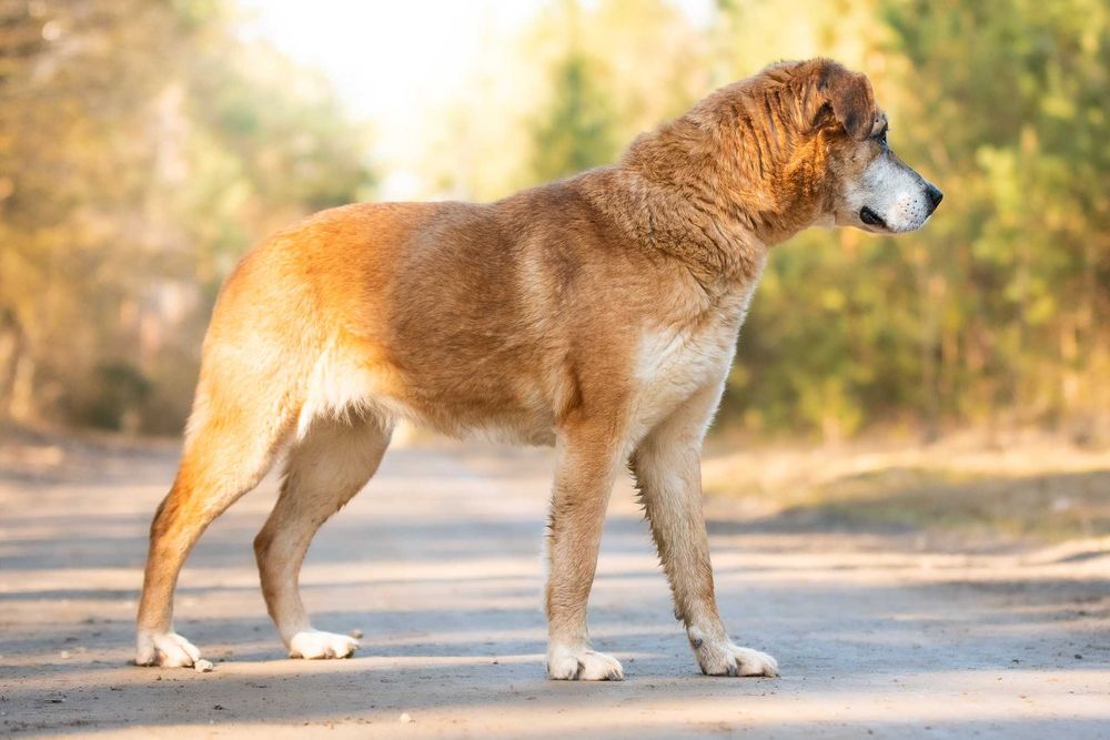 energiczna i mądra MELINDA