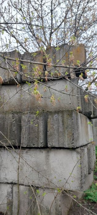 Фбс блоки 3.4.5.6