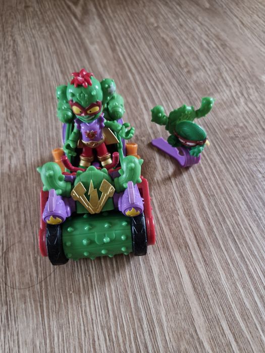 Autko kaktus zings