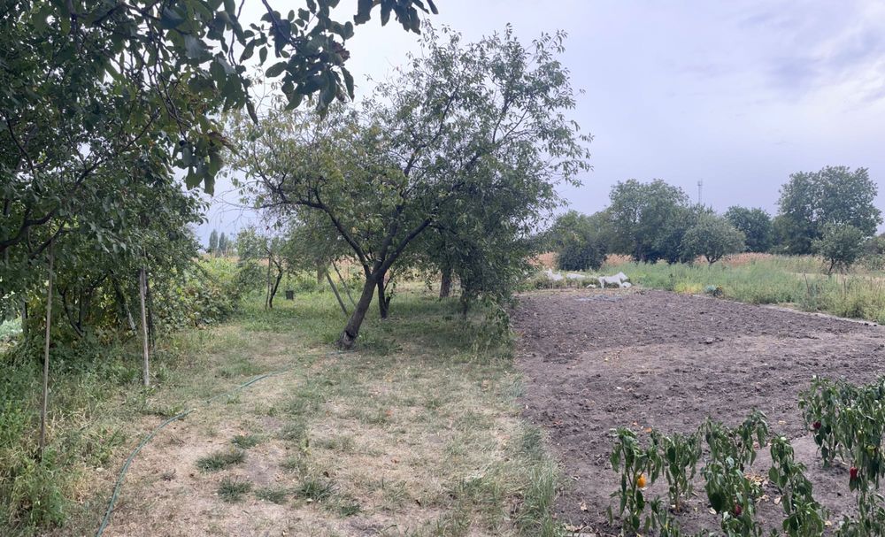 Продається будинок з ділянкою і господарськими будівлями