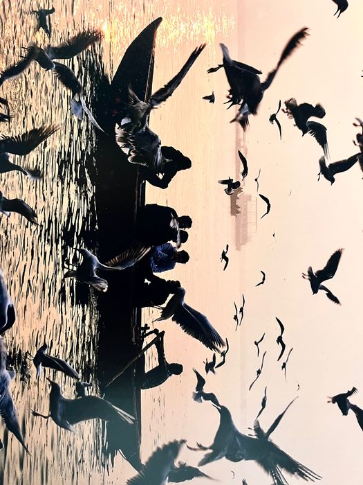 Fotografia emoldurada de Luís Godinho